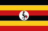 Dog-friendly Uganda